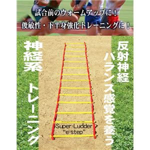 Super-Ludder(スーパーラダー) e-step(イーステップ)